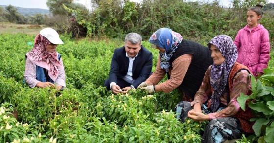 BALIKESİR TARIMI İÇİN ÖNEMLİ GELİŞME