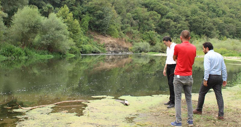 “KEPSUT’UN İÇİNDEN ZEHİR AKIYOR”