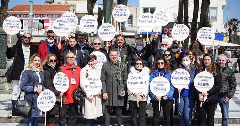 AYVALIK’TAN ÖLMEZ AĞACIN İDAM FERMANINA HAYIR