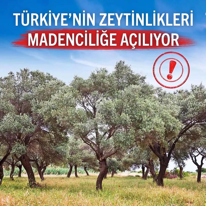 “ZEYTİNLİKLERLE İLGİLİ BU İŞLEM DERHAL DURDURULMALI”