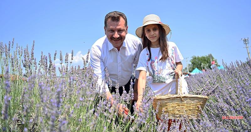 “ÇITA HER YIL YÜKSELİYOR”